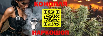 гашик Балашиха