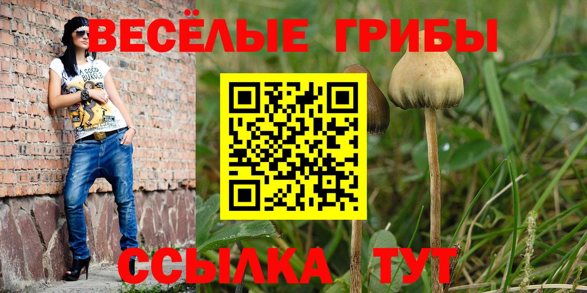 Галлюциногенные грибы мицелий Городец