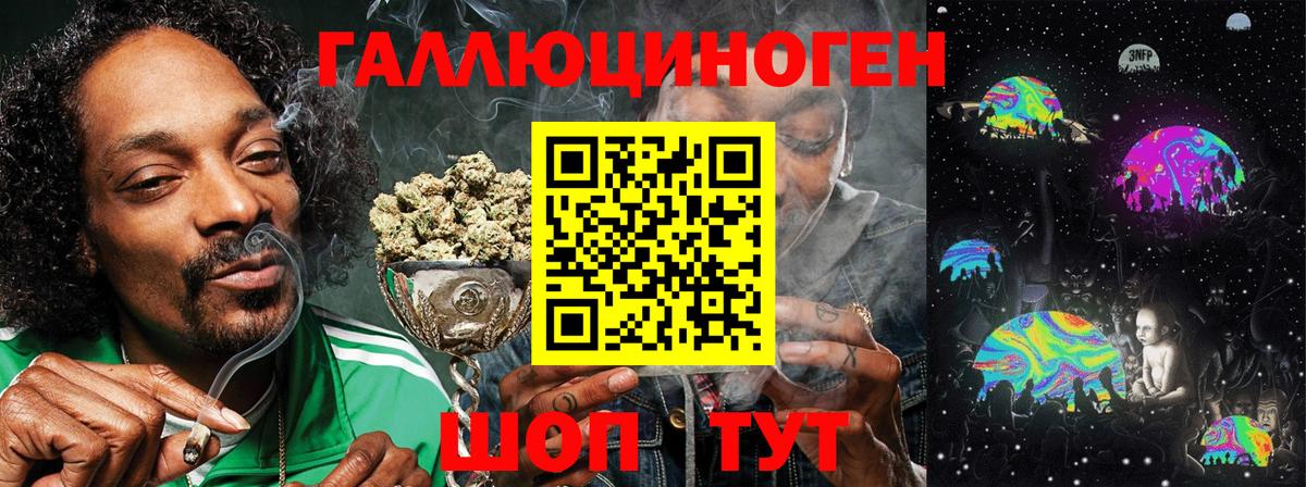 Галлюциногенные грибы Psilocybe  где найти наркотики  Галлюциногенные грибы GOLDEN TEACHER  Городец  Вход с VPN 